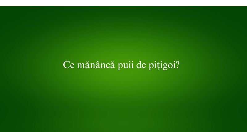 Ce mănâncă puii de pițigoi