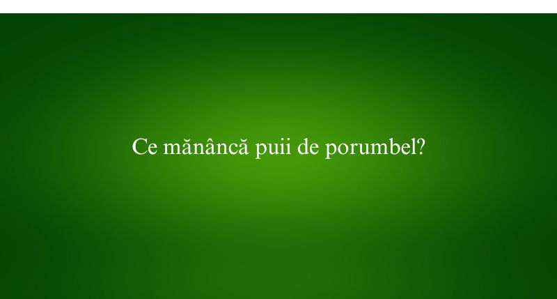 Ce mănâncă puii de porumbel
