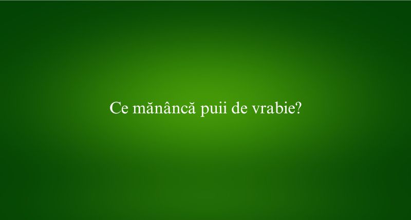 Ce mănâncă puii de vrabie