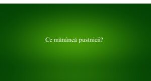 Ce măn&acirc;ncă pustnicii