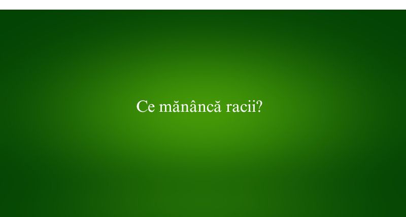 Ce mănâncă racii
