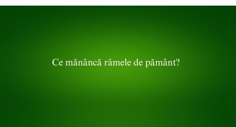 Ce mănâncă râmele de pământ