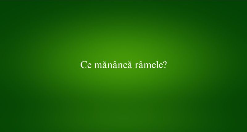 Ce mănâncă râmele
