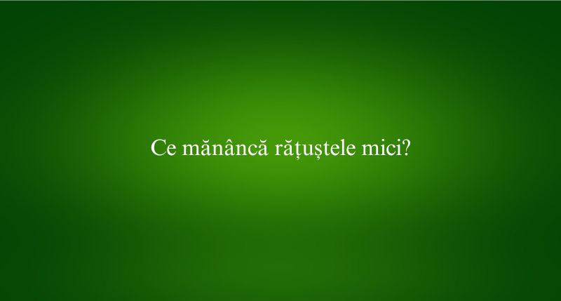 Ce mănâncă rățuștele mici
