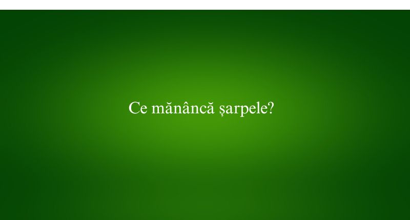 Ce mănâncă șarpele