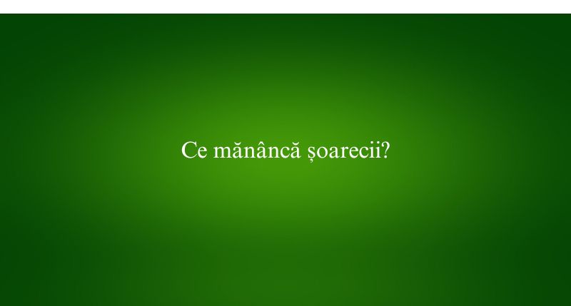 Ce mănâncă șoarecii