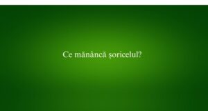 Ce măn&acirc;ncă șoricelul