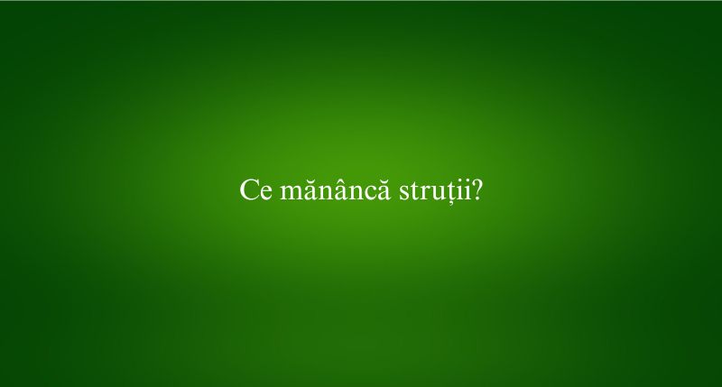 Ce mănâncă struții