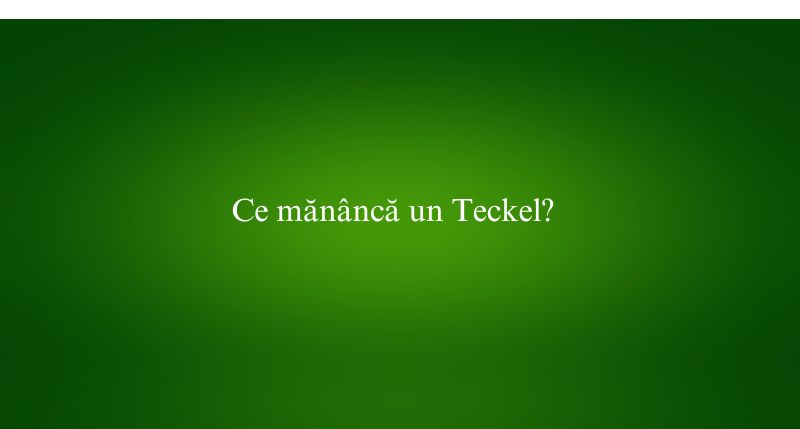 Ce mănâncă un Teckel
