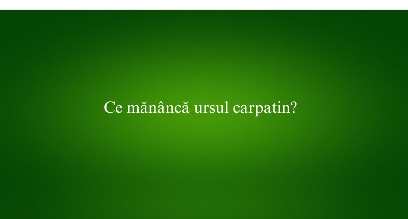 Ce mănâncă ursul carpatin