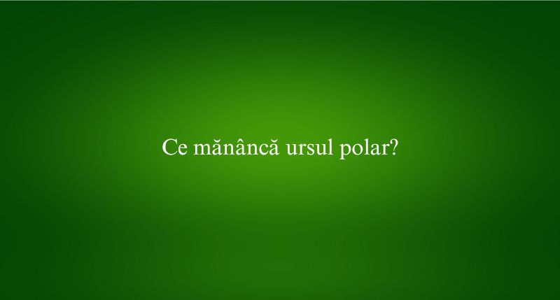 Ce mănâncă ursul polar