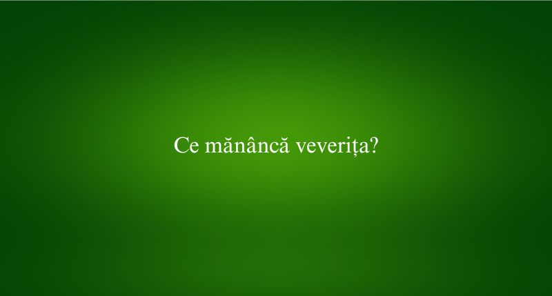 Ce mănâncă veverița