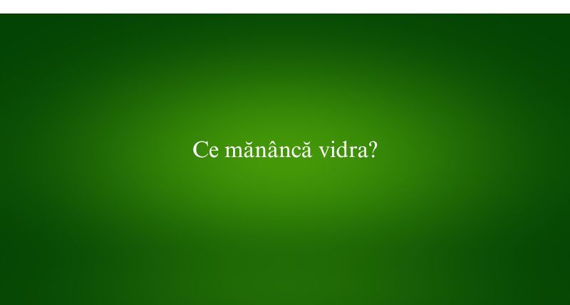 Ce mănâncă vidra