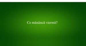 Ce măn&acirc;ncă viermii