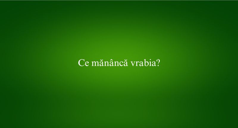 Ce mănâncă vrabia
