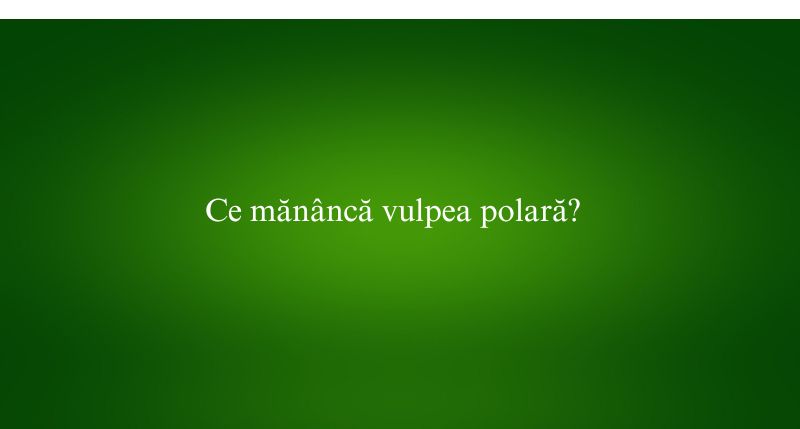 Ce mănâncă vulpea polară