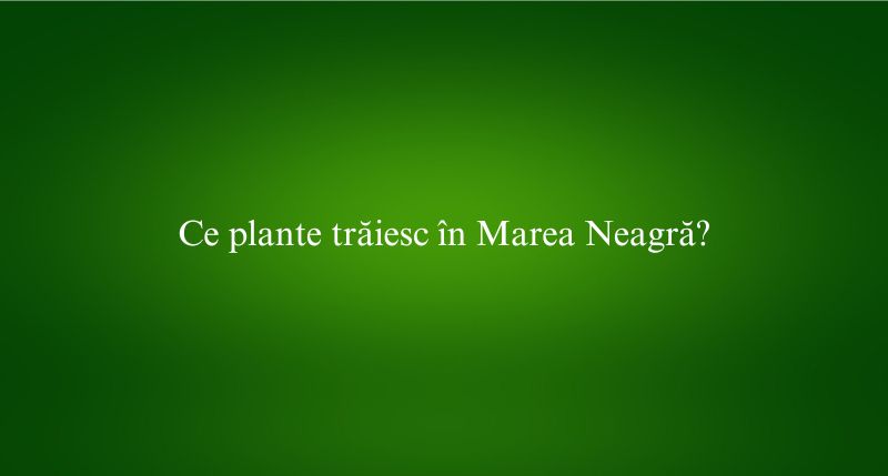 Ce plante trăiesc în Marea Neagră