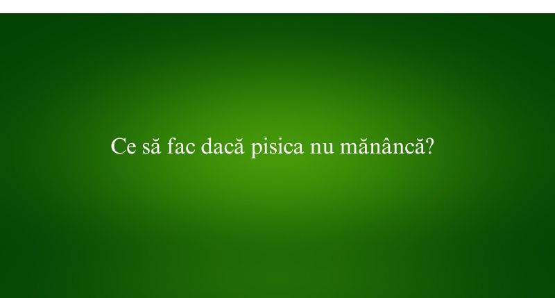 Ce să fac dacă pisica nu mănâncă