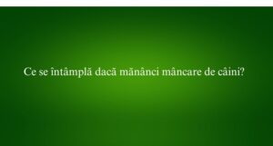 Ce se &icirc;nt&acirc;mplă dacă măn&acirc;nci m&acirc;ncare de c&acirc;ini