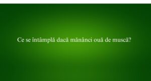 Ce se &icirc;nt&acirc;mplă dacă măn&acirc;nci ouă de muscă
