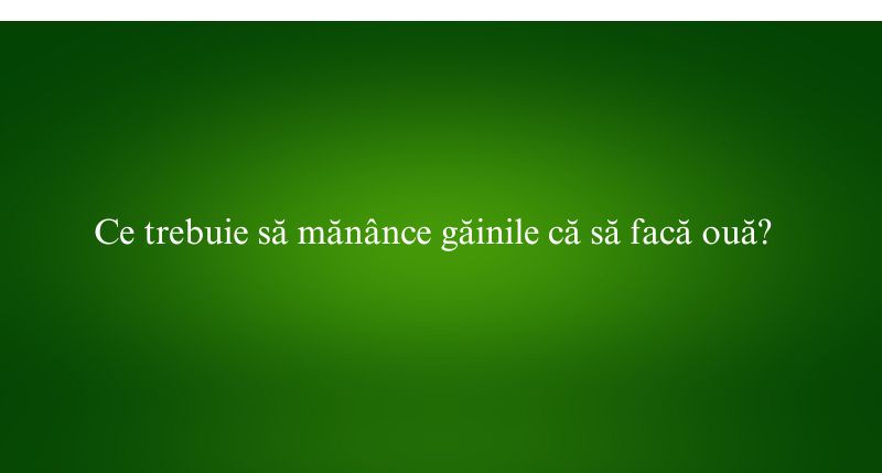 Ce trebuie să mănânce găinile că să facă ouă