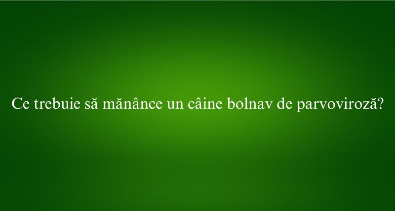 Ce trebuie să mănânce un câine bolnav de parvoviroză
