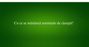 Cu ce se măn&acirc;ncă semințele de c&acirc;nepă