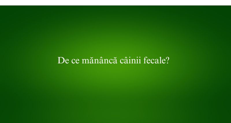 De ce mănâncă câinii fecale