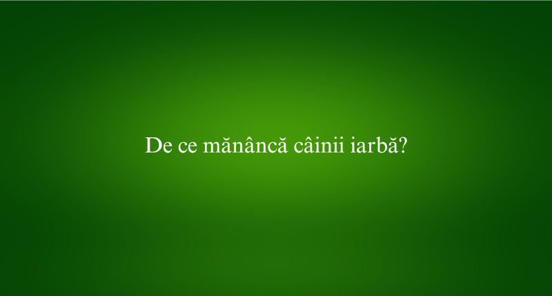 De ce mănâncă câinii iarbă