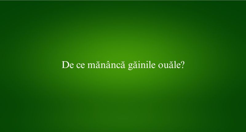 De ce mănâncă găinile ouăle