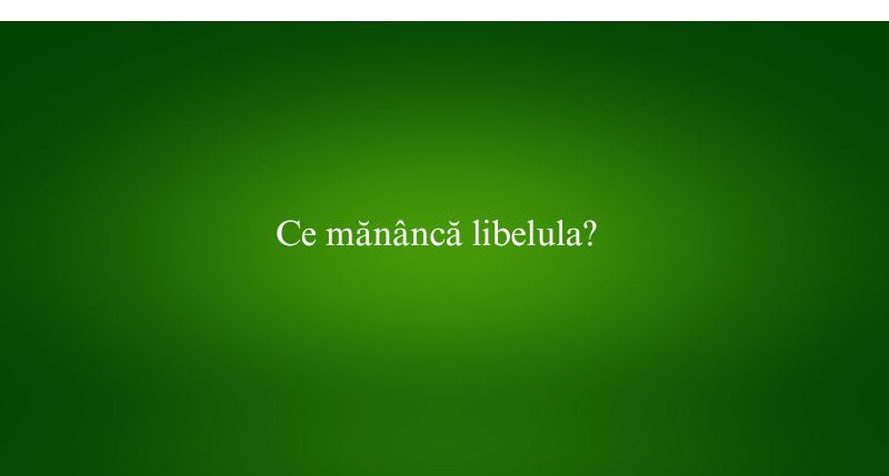 Ce mănâncă libelula