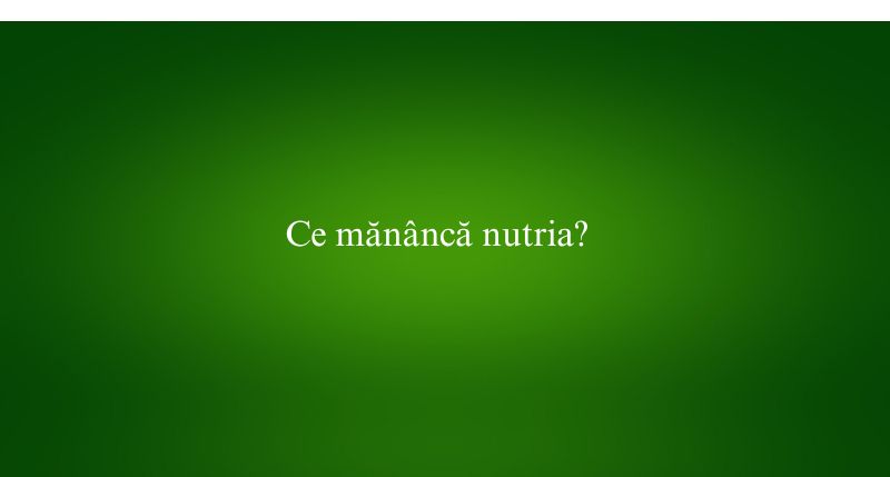Ce mănâncă nutria
