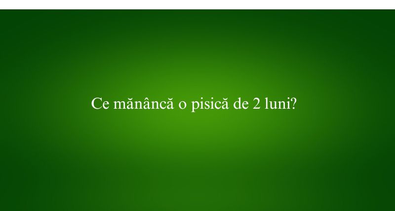 Ce mănâncă o pisică de 2 luni