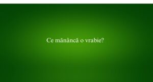 Ce măn&acirc;ncă o vrabie