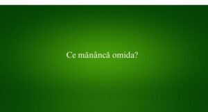 Ce măn&acirc;ncă omida