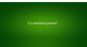 Ce măn&acirc;ncă poneii