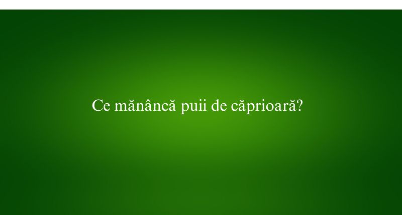 Ce mănâncă puii de căprioară