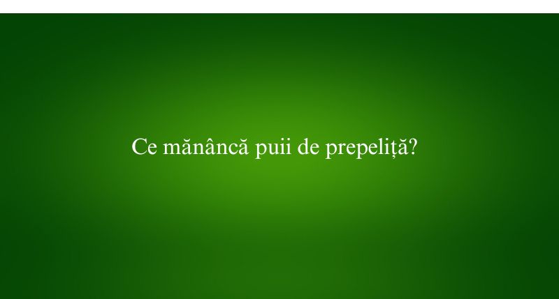 Ce mănâncă puii de prepeliță