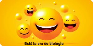 Bulă la ora de biologie