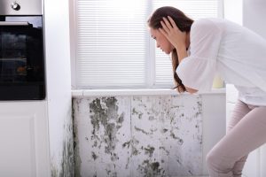 Soluțiile antimucegai: când sunt necesare și cum se aplică eficient